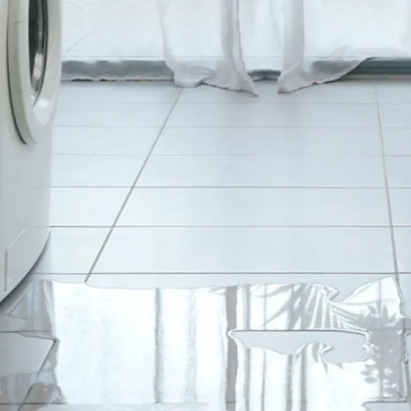 Appliance Leak Cleanup in Limestone, ME