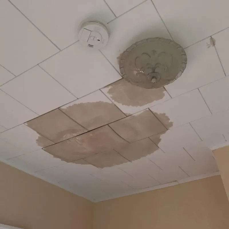 Ceiling Water Damage Repair in Limestone, ME