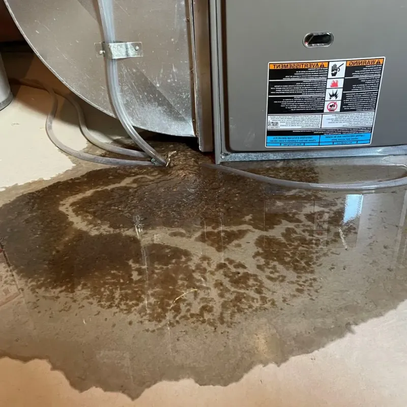 Pipe Burst and Leak Restoration in Limestone, ME