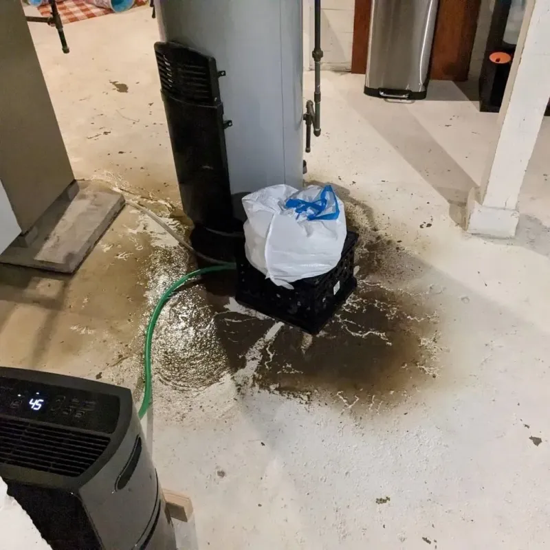 Sewage Backup Cleanup Service in Limestone, ME